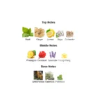 375×500.61623.2x-2-outlet90-com