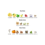 375×500.25967.2x-2-outlet90-com