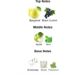 375×500.99116.2x-1-outlet90-com-1-outlet90-com-1-outlet90-com