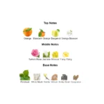 375×500.611.2x-2-outlet90-com