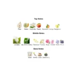 375×500.210.2x-3-outlet90-com