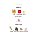 375×500.48031.2x-3-outlet90-com