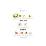 375×500.214.2x-2-outlet90-com