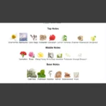 375×500.371.2x-2-outlet90-com