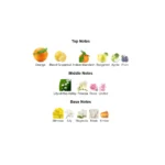 375×500.372.2x-3-outlet90-com