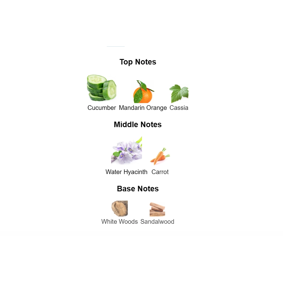 screenshot 2025-12-10 180225-1-outlet90-com