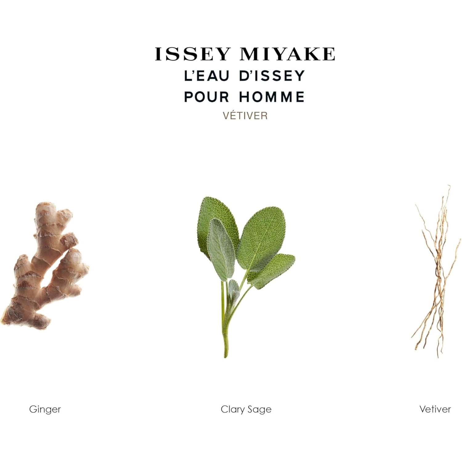 61z39kl3qsl._ac_sl1500_-1-outlet90-com