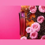 bbc6bf30-de08-476e-9cfc-071993d6e90b-3-outlet90-com