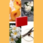 fafac347-454f-4fa3-ad67-dd5a73e1e85d-2-outlet90-com