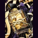 61ccxasp5ol._ac_sy879_-3-outlet90-com