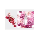 d29e3b90-297f-4dbe-986e-291e3bdc16bb-3-outlet90-com