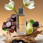 kingdomwomen-2-outlet90-com