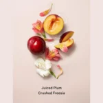 61vqjq-h7ol._ac_sl1500_-3-outlet90-com