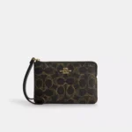 signature canvas/Gold/Brown