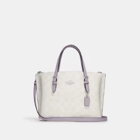 شنطة كوتش Mollie tote bag