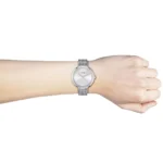 1502546-hugo-boss-watch-women-crystals-silver-dial-metal-stainless-mesh-strap-quartz-battery-analog-three-hand-praise