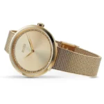 1502547-hugo-boss-watch-women-crystals-gold-dial-metal-stainless-golden-mesh-strap-quartz-battery-analog-three-hand-praise (1)