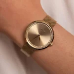 1502547-hugo-boss-watch-women-crystals-gold-dial-metal-stainless-golden-mesh-strap-quartz-battery-analog-three-hand-praise (1)