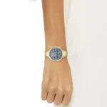 1502677-hugo-boss-watch-women-blue-dial-metal-stainless-gold-strap-quartz-battery-analog-chronograph-one