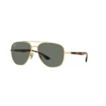 Gold Green Polarized